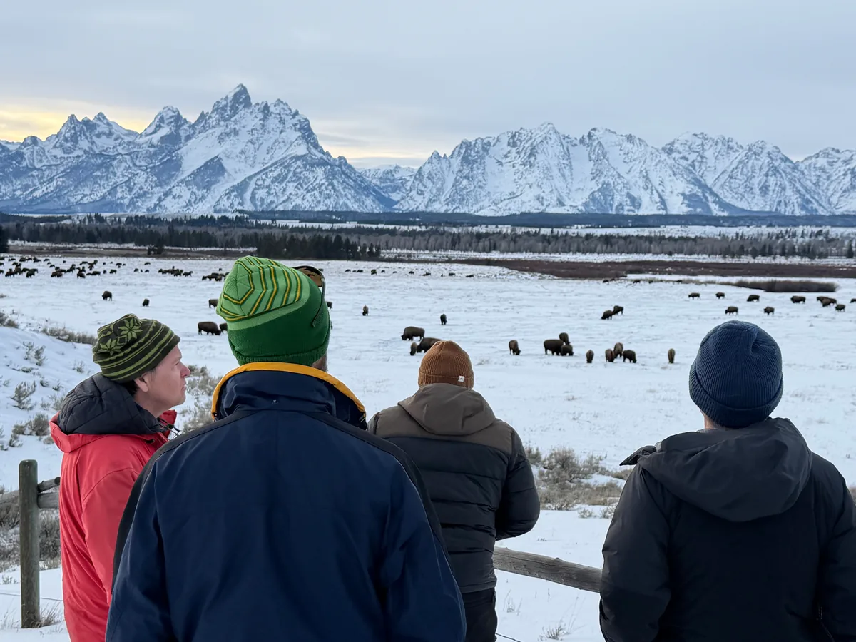 Four travelers in winter hats and parkas at a wooden fence watching a bison herd graze below the Tetons